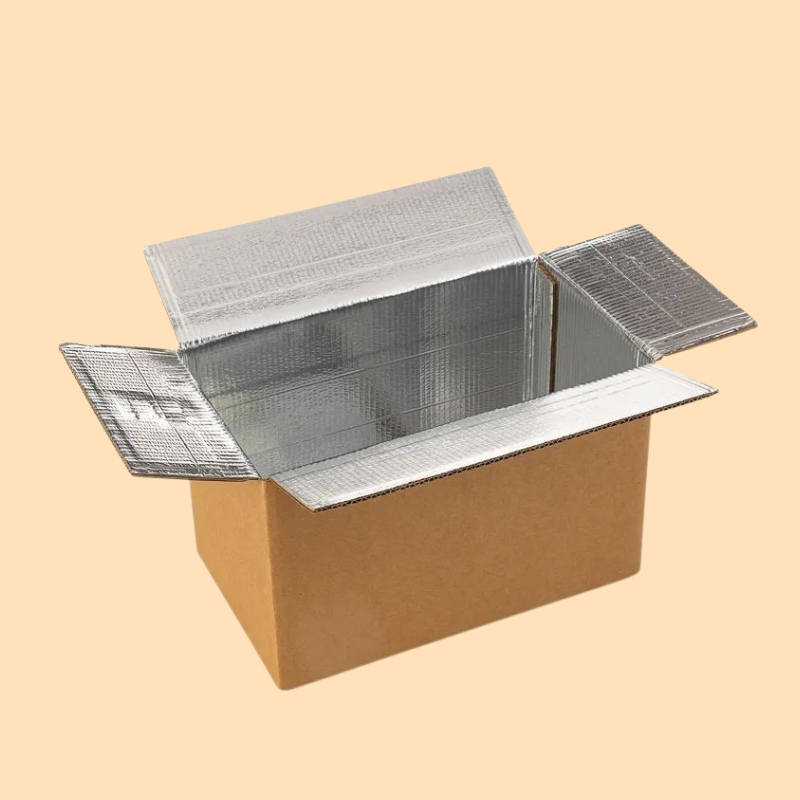 Dry Ice Shipping Boxes