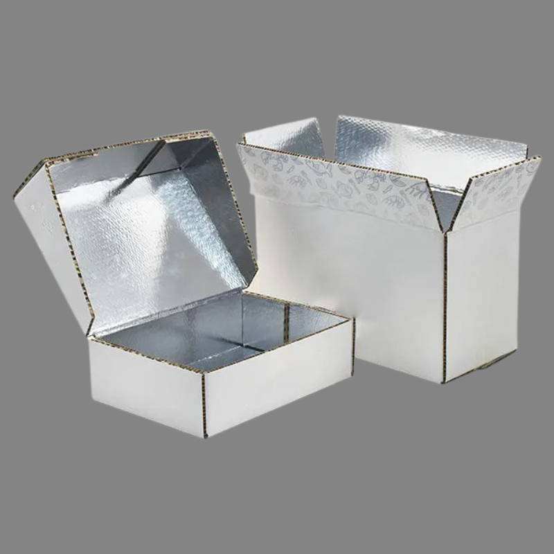 Dry Ice Shipping Boxes