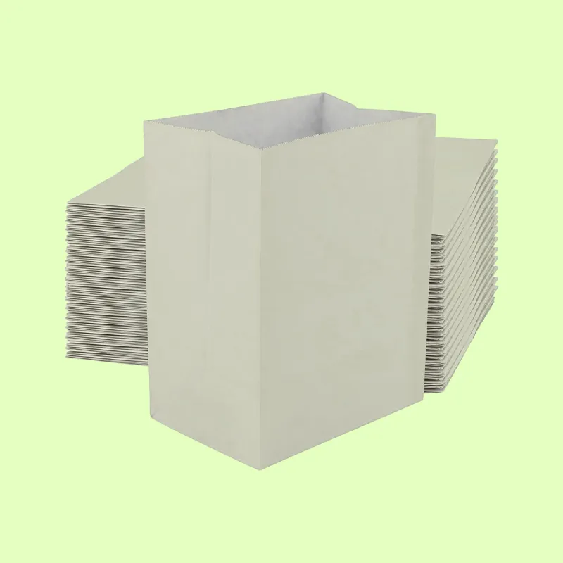 Regular Kraft Bags
